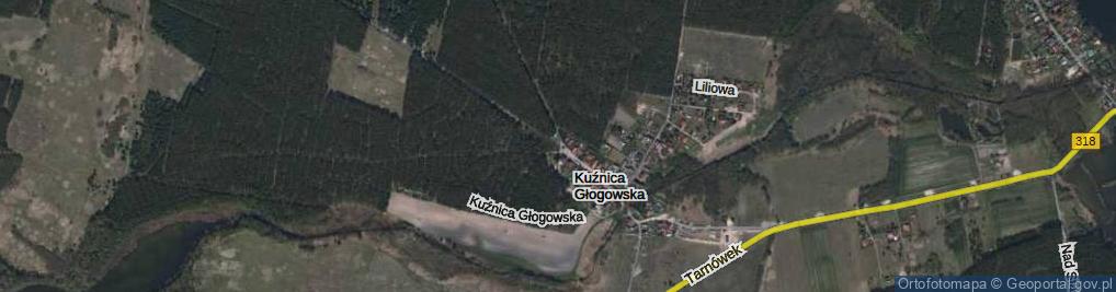 Zdjęcie satelitarne Kuźnica Głogowska ul.